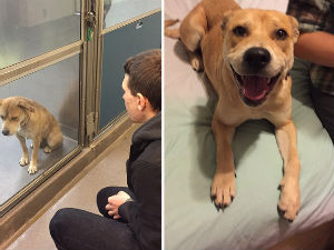 Од уплашених и одбачених постали вољени и срећни