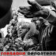Гледаоци репортери (11. јануар 2015)