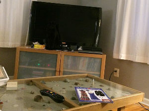 Видите ли мачку на овој слици?