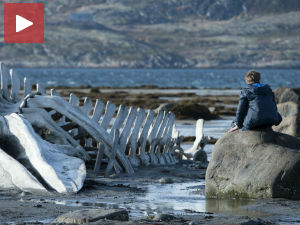 „Левијатан“ напокон пред Русима