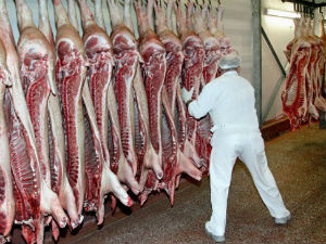 Немачки "Тенис" стиже у Србију