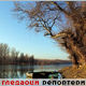Гледаоци репортери (16. јануар 2015)