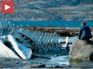 Руски кандидат за Оскара изазвао хаос „код куће“