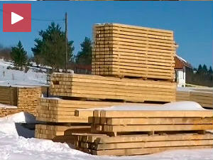 Нова нада за дрвну индустрију