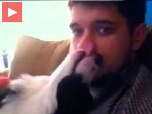 Немој да ме пријавиш, молим те!