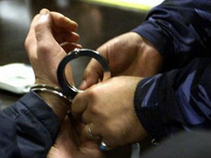 Јагодина, истрага против возача који је усмртио жену