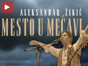 Биографија Милана Младеновића