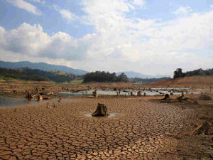 Најгора суша у Бразилу у последњих 80 година