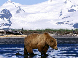 Део Аљаске дивљина?