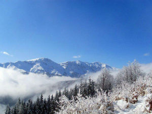 Идентификавано тело пронађено на Старој планини