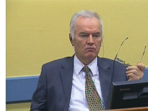 Караћ: Рат у Босанкој Крајини почеле муслиманске паравојске 