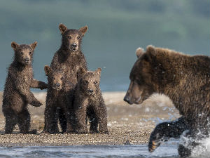 Не очекујеш ваљда да и ми то урадимо?!