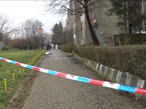 Убиство на Новом Београду