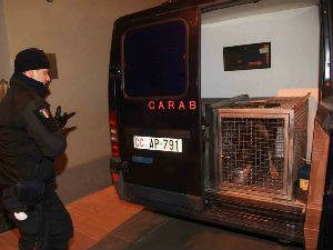 Масовно хапшење мафијаша у Италији