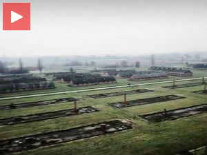 Трагедија Аушвица из другачије перспективе