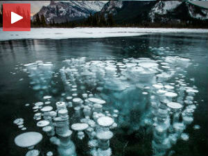 Лепота која прети опстанку човечанства