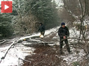 Санирају се последице невремена у Брусу
