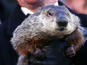 Најслађи метеоролог сутра прогнозира време