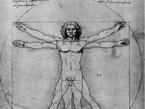 Културни кругови: Златни пресек