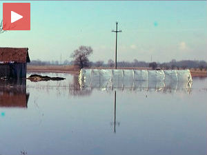 Процена штете од поплава у Пчињском округу