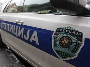 Приведени цaриници у Новом Саду