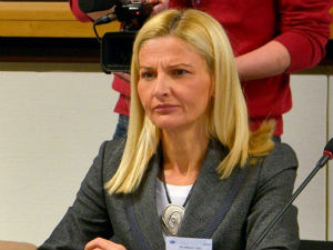 Мишчевић: Спремни смо за отварање поглавља 23 и 24