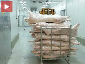 Немачки подстицај српским сточарима