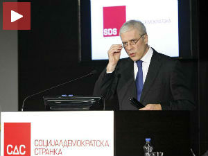 Тадић: СДС ће представити пакет економских мера