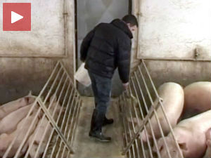 Помоћ из ЕУ, шанса и изазов за сточаре