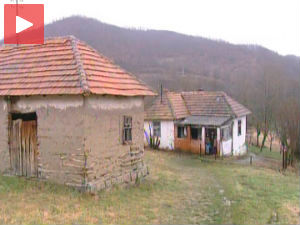 Сами у немаштини