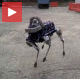„Гугл“ направио првог робота пса