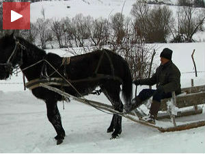 Саонице као алтернатива  