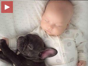 Дечак и булдог - најбољи пријатељи од рођења