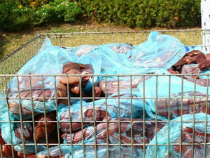 Интерпол запленио 2.500 тона неисправне хране 