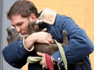 Жене обожавају мушкарце са псима