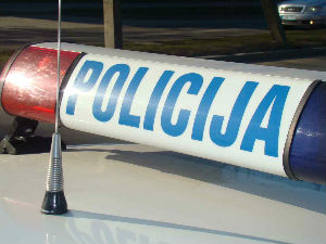 Погинула старица код Шида 