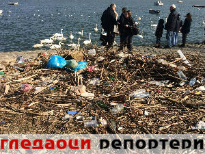 Гледаоци репортери (19. фебруар 2015)