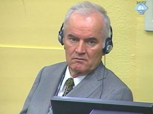 Јевђевић: Сребреница и Жепа нису биле демилитаризоване