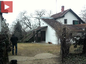 Старицу усмртио пас у Суботици