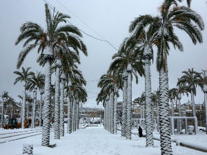 Снег и лед оковали Израел, Јордан и Либан