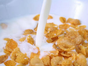 Отровни корнфлекс у БиХ