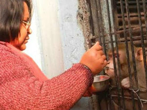 Све своје остављамо... сину мајмуну!