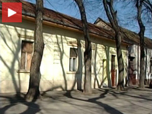 Оболела стабла у најлепшој улици