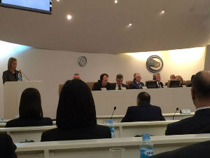 Могерини: Историјска одлука БиХ о европском путу 