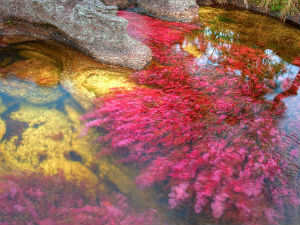 Да ли је ово најлепша река на свету?