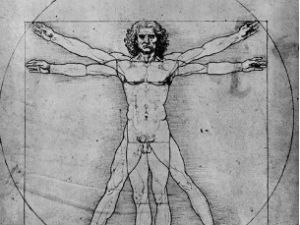 Културни кругови: Златни пресек