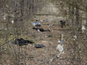 Прва жртва егзодуса Албанаца, девојчица умрла у Мађарској