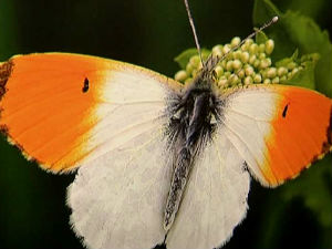 Фото изложба 