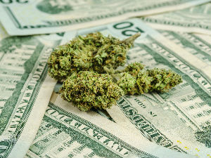 Марихуана легална и на Капитол Хилу!