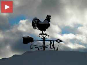 Српска политичка ружа ветрова